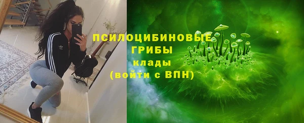 бошки Зеленокумск